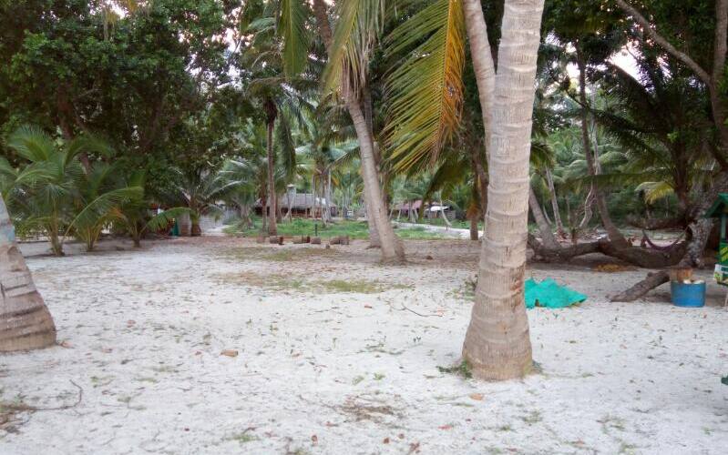 Island & Blue Beach Resort, Havelock Island 3